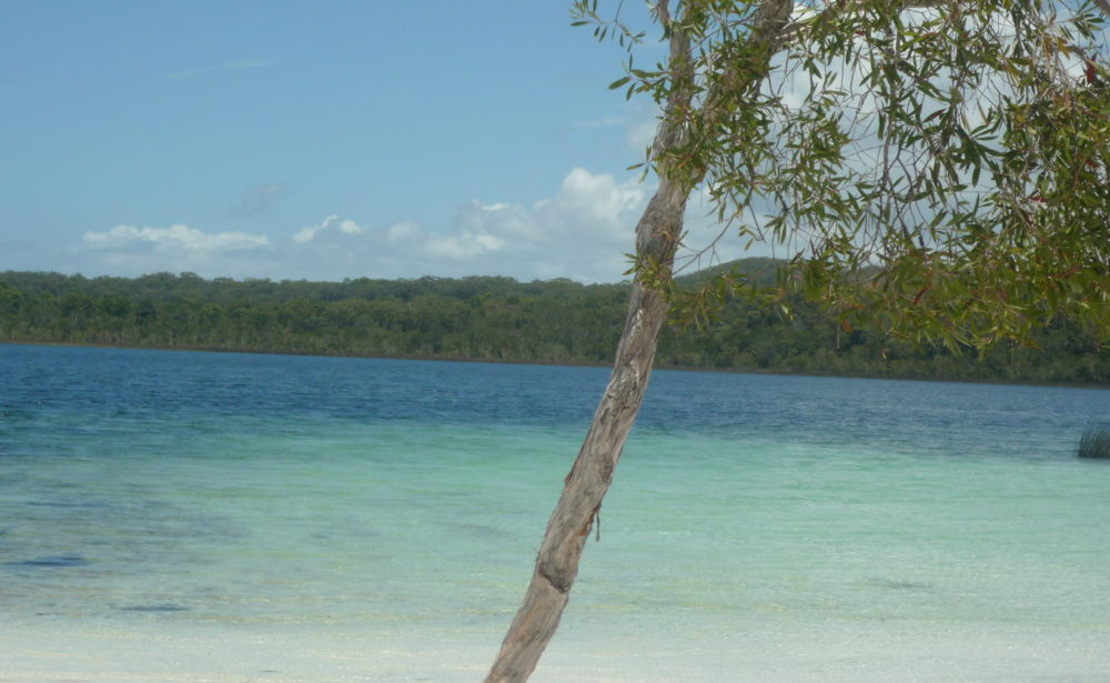 fraser island