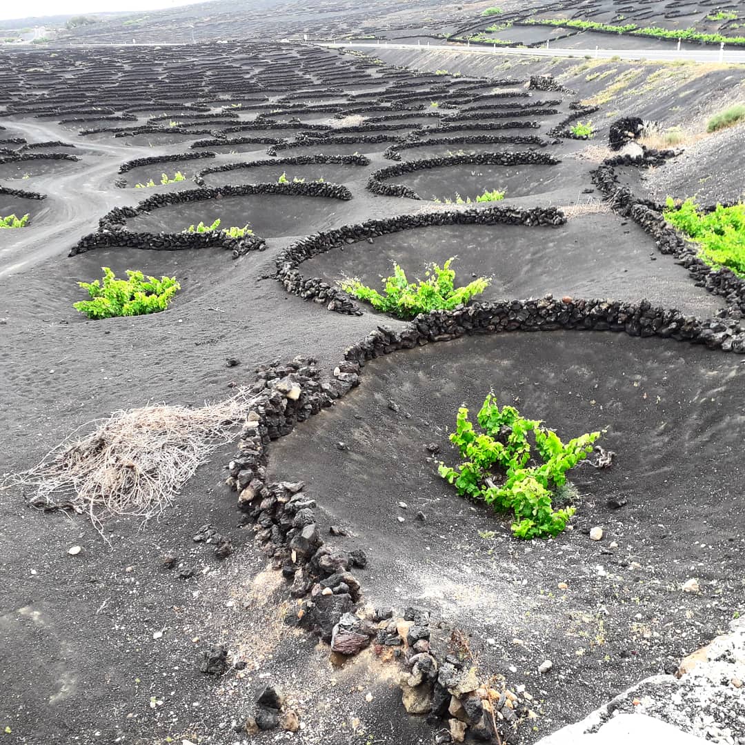 lanzarote_escapade